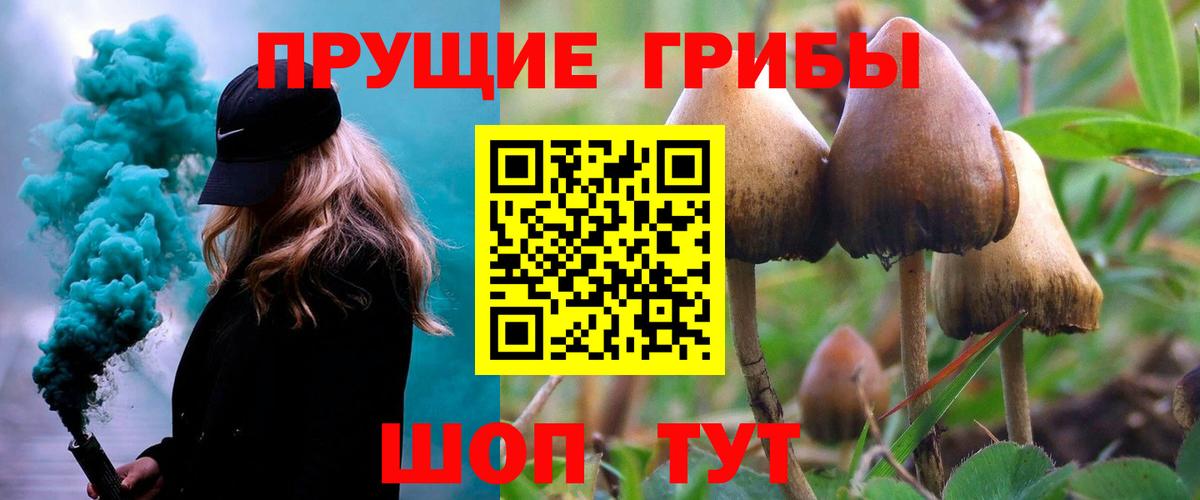 Кировск  Галлюциногенные грибы GOLDEN TEACHER  Вход с VPN 